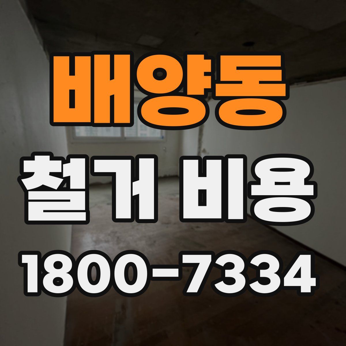 배양동 철거 비용