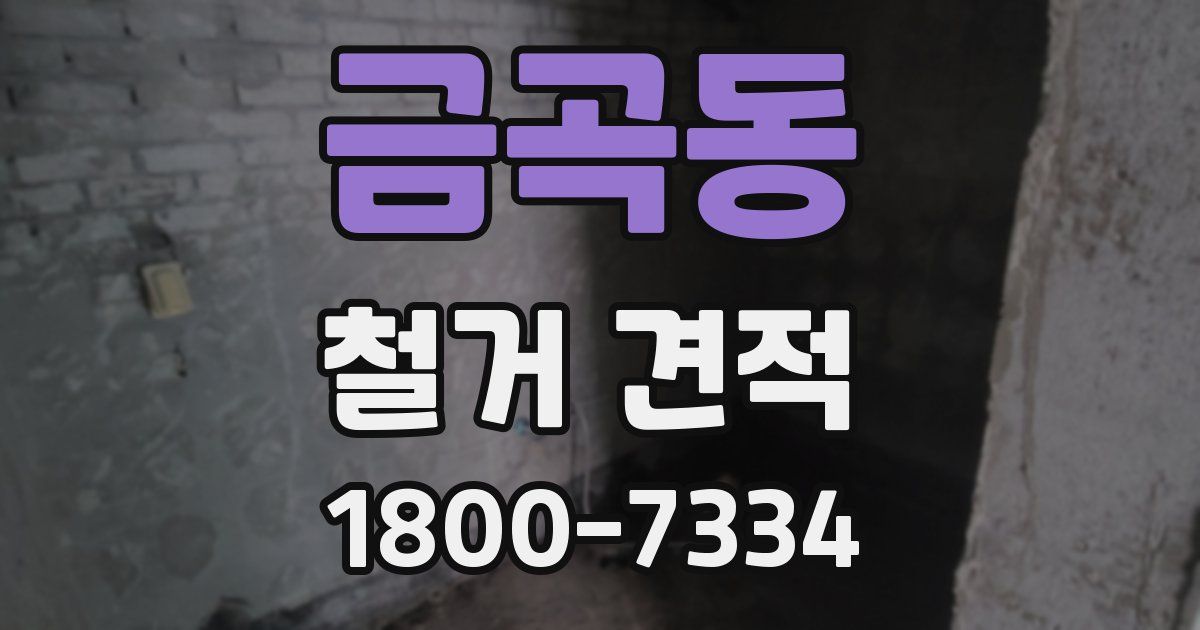 금곡동 철거 견적