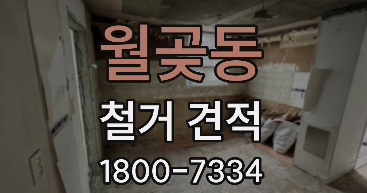 월곶동 철거 견적