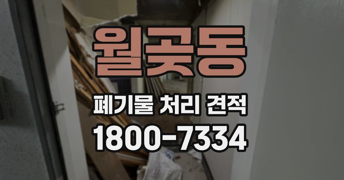 월곶동 폐기물 처리 견적