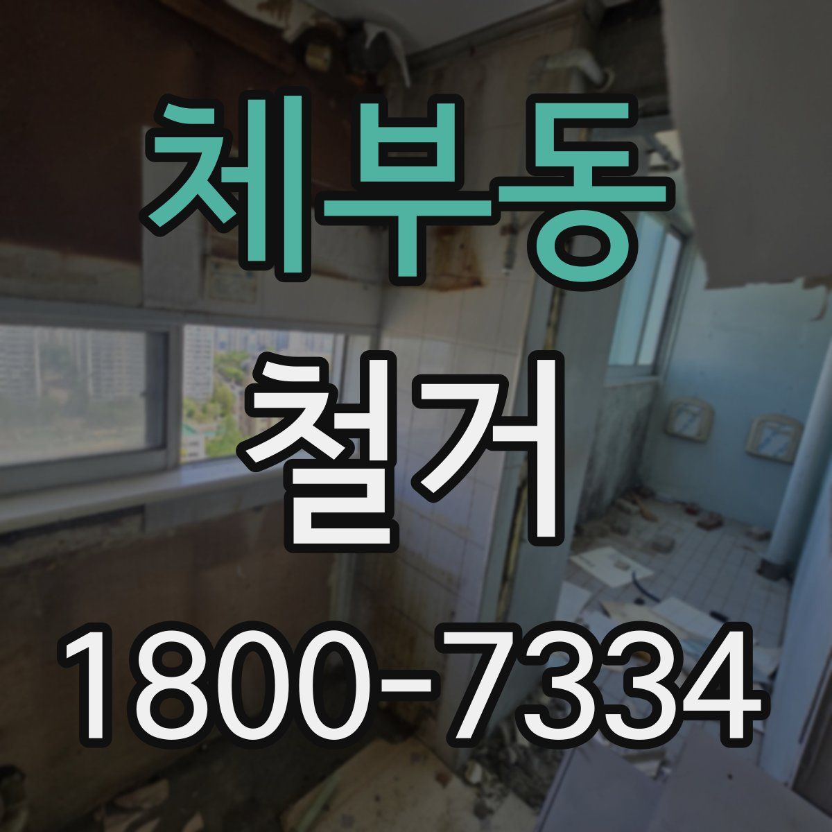 체부동 철거
