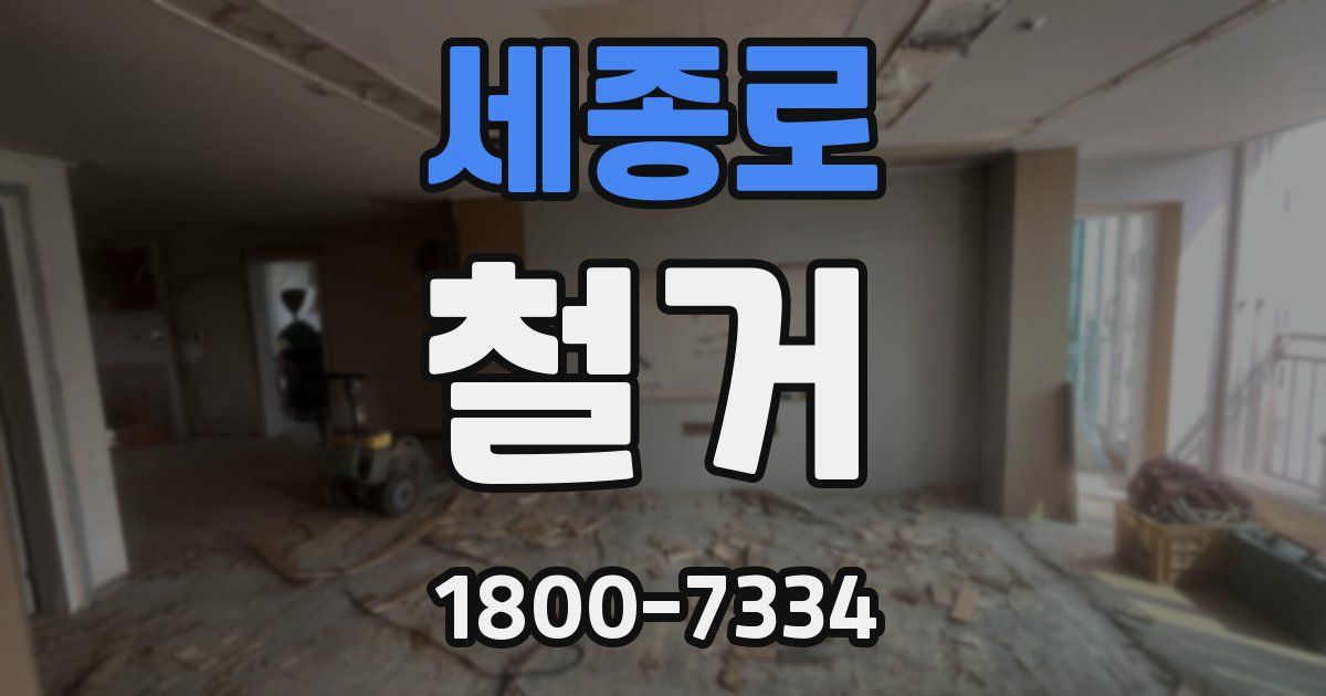 세종로 철거