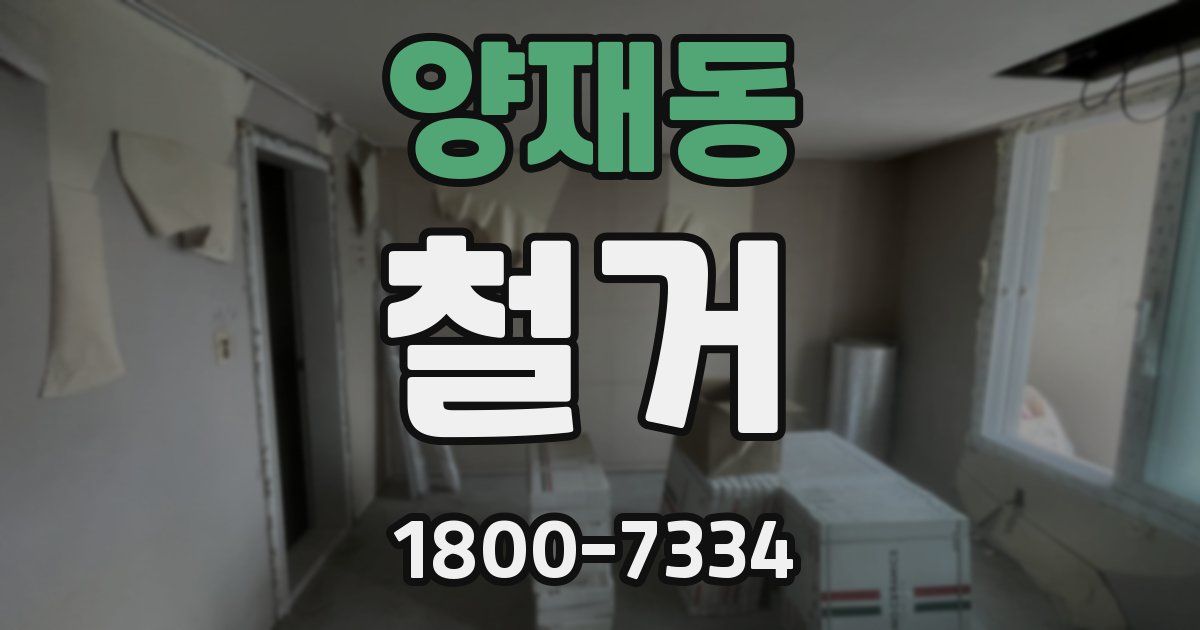 양재동 철거
