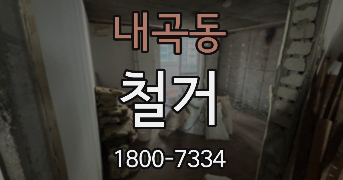 내곡동 철거