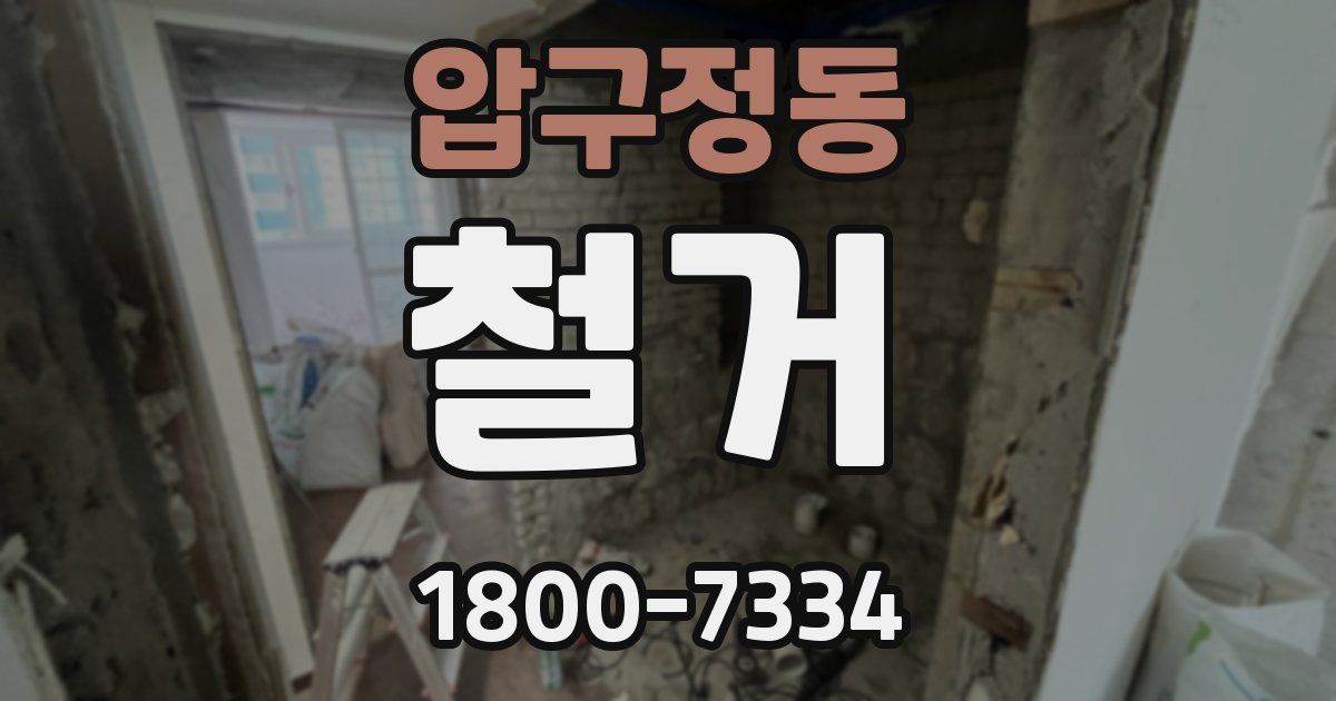 압구정동 철거