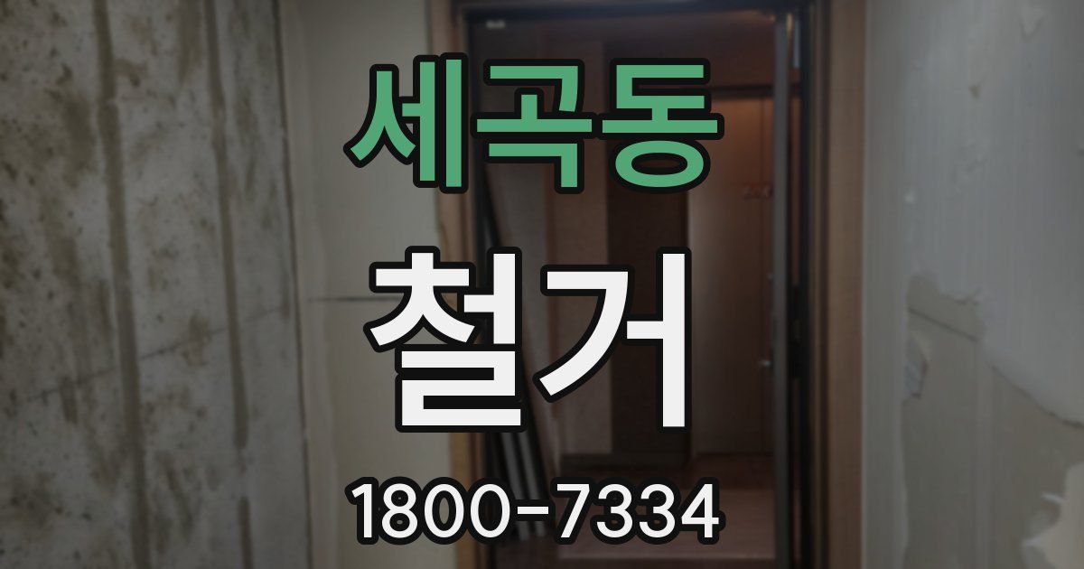 세곡동 철거
