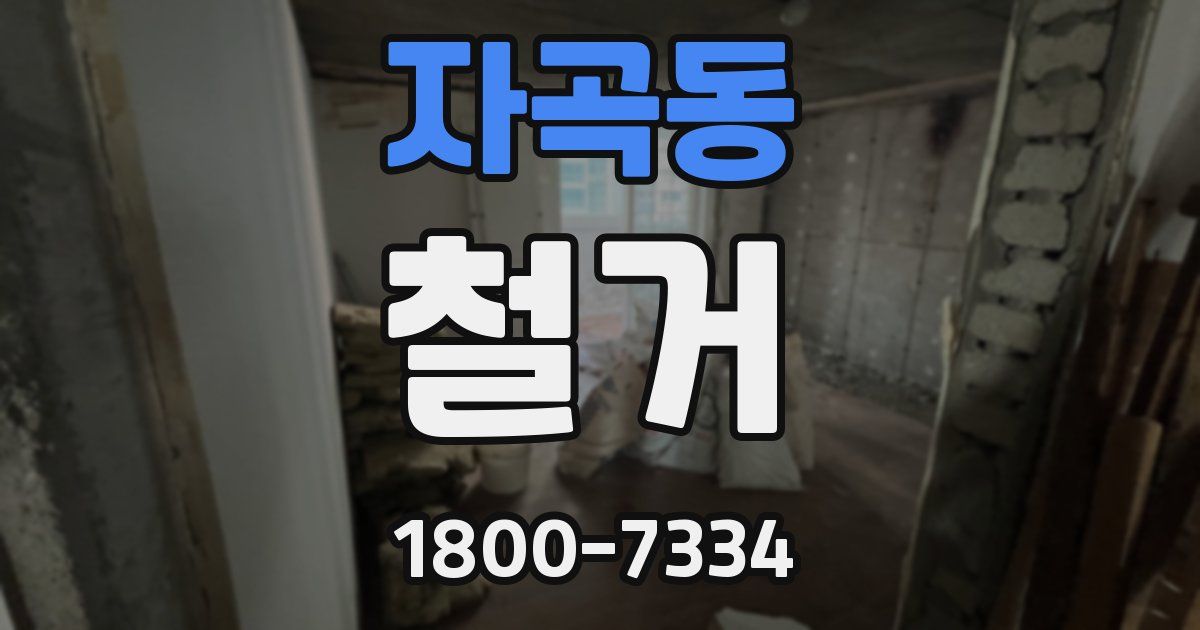 자곡동 철거