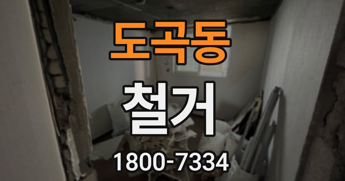 도곡동 철거