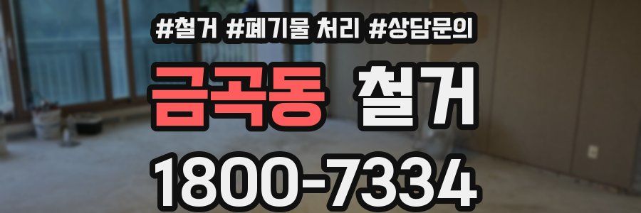금곡동 철거
