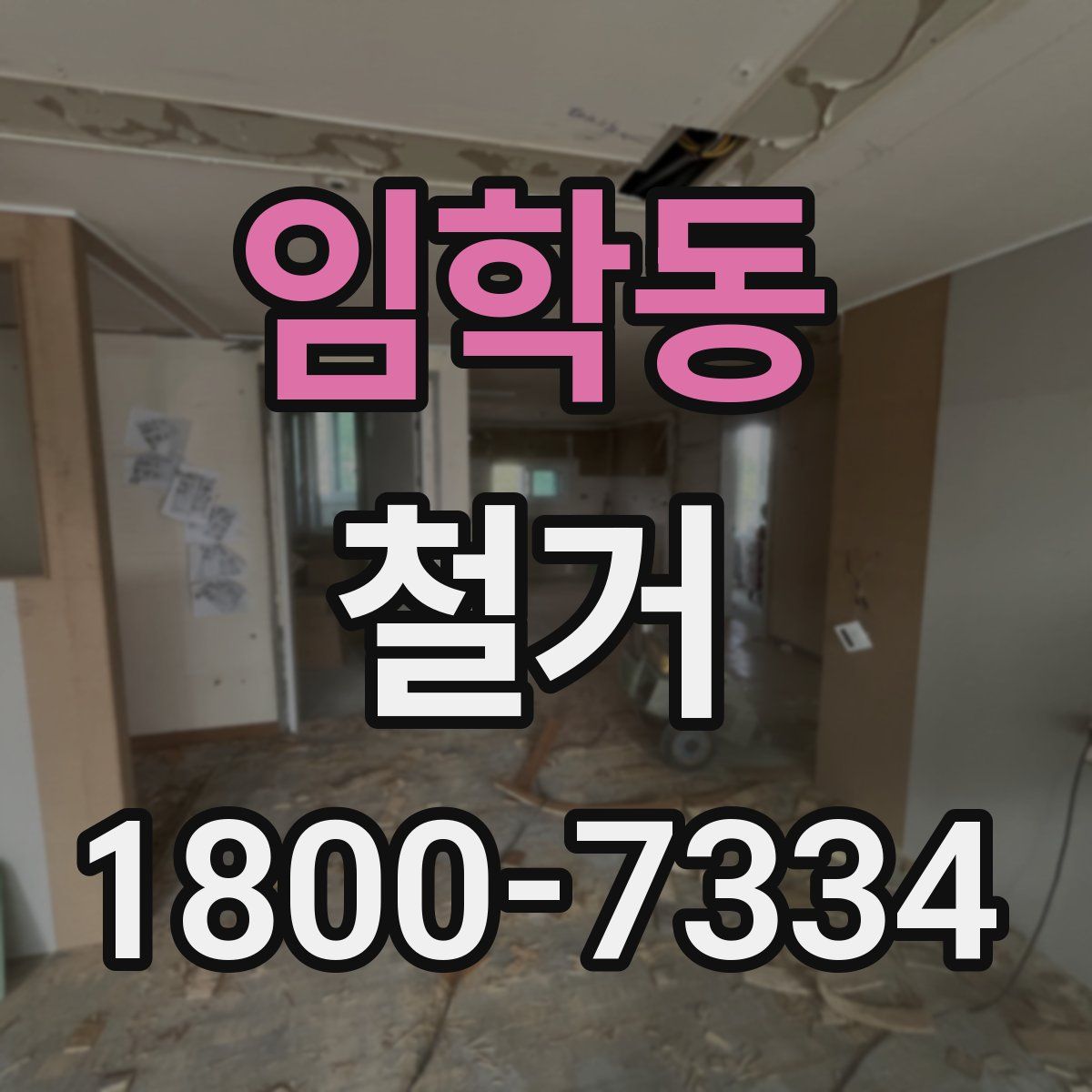 임학동 철거