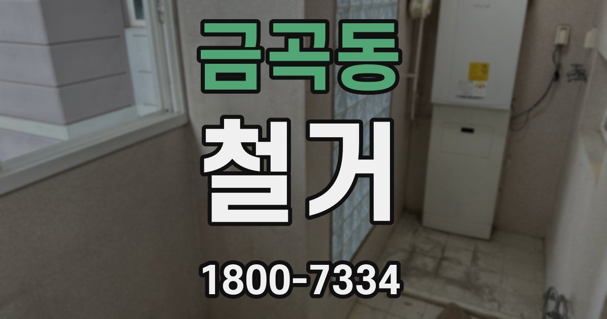 금곡동 철거