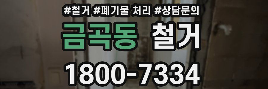 금곡동 철거