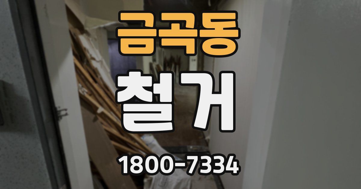 금곡동 철거