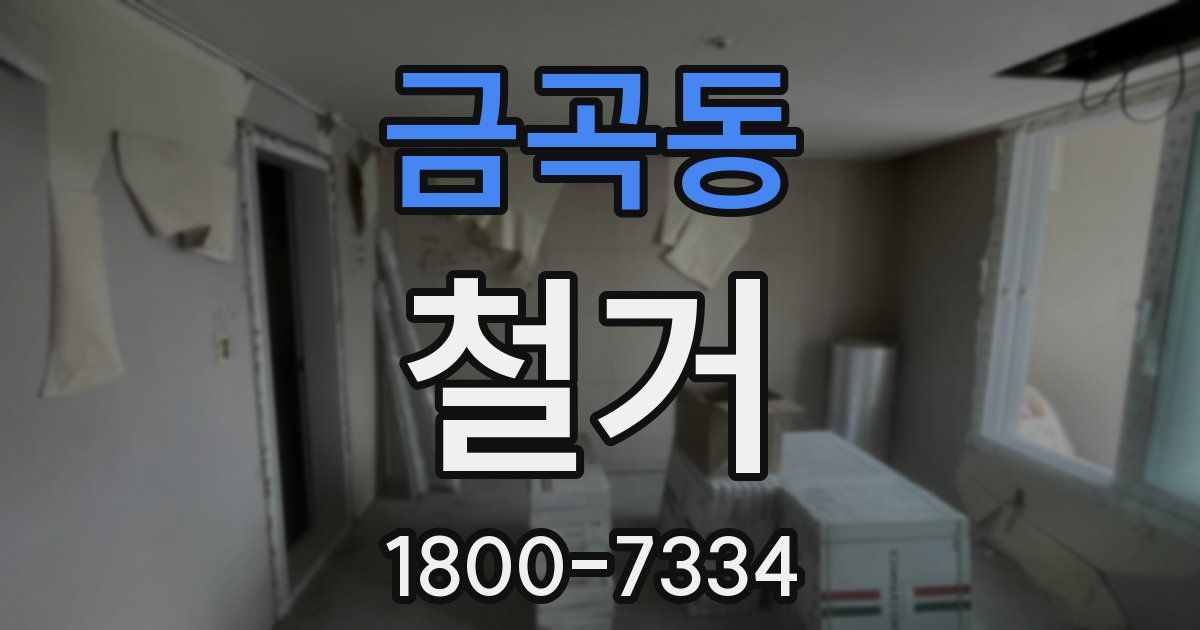 금곡동 철거