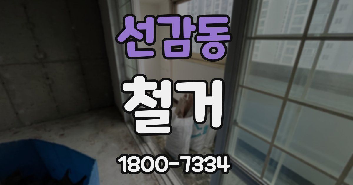 선감동 철거
