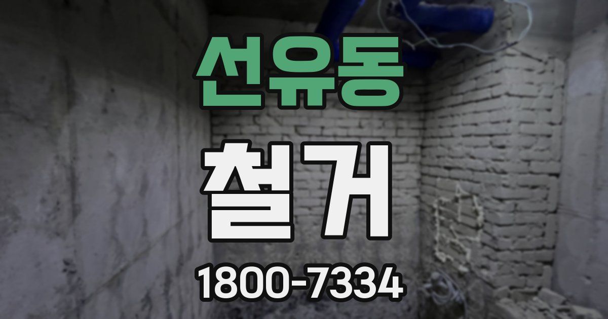 선유동 철거