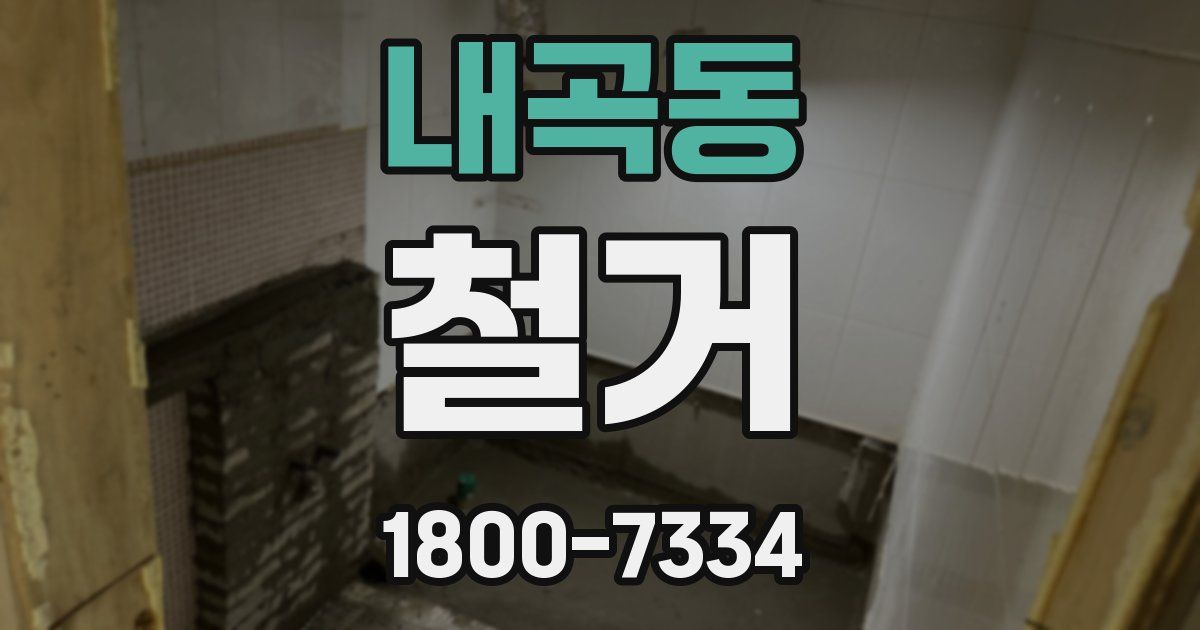 내곡동 철거