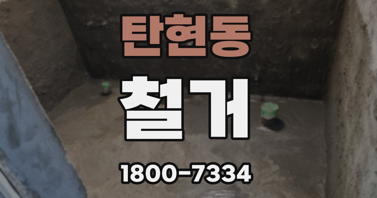 탄현동 철거
