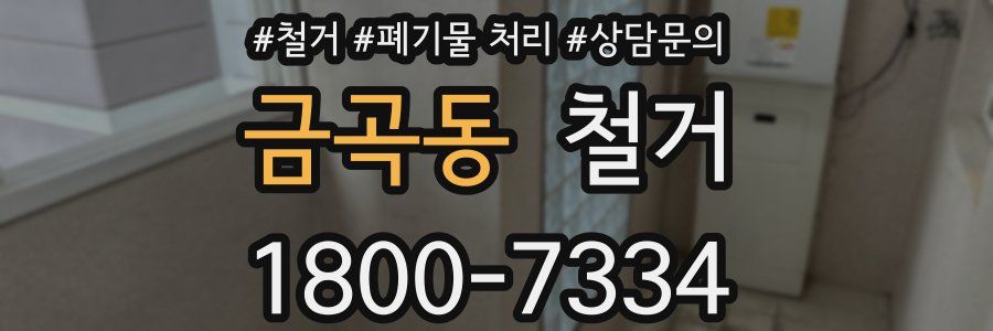 금곡동 철거