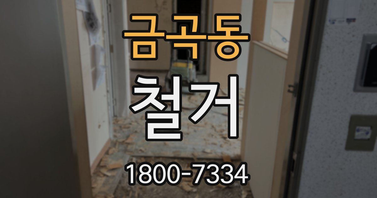 금곡동 철거