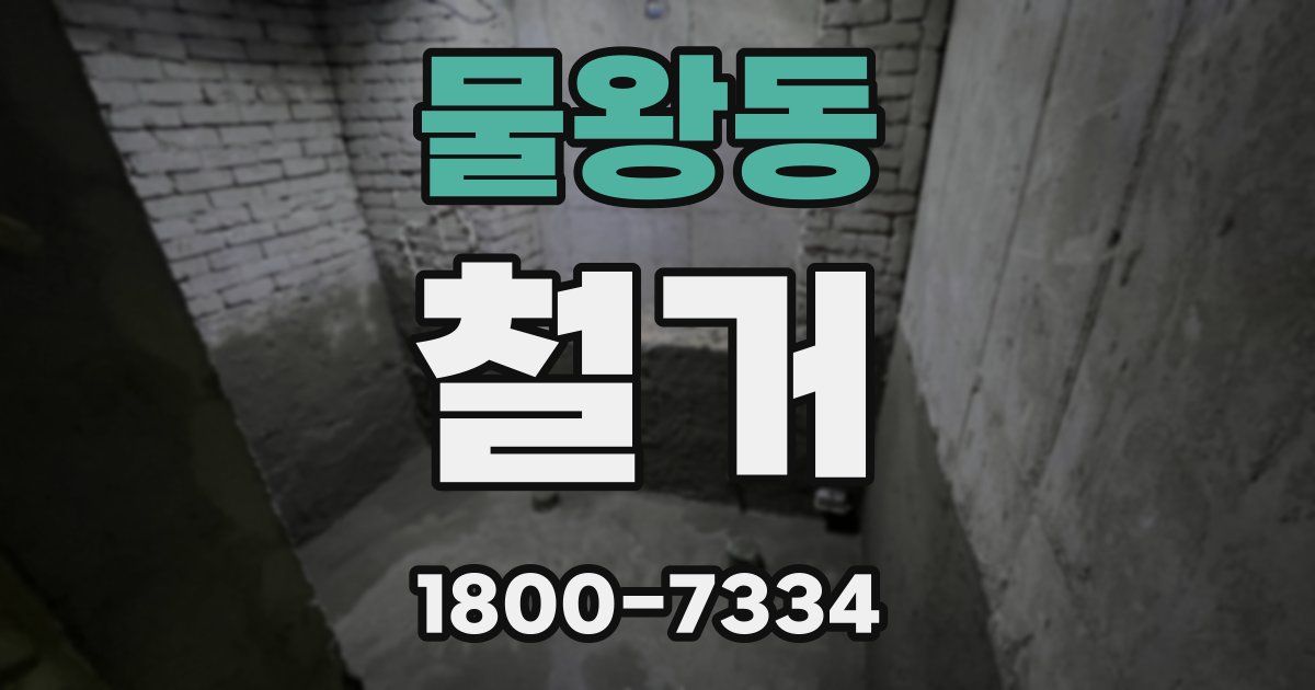 물왕동 철거