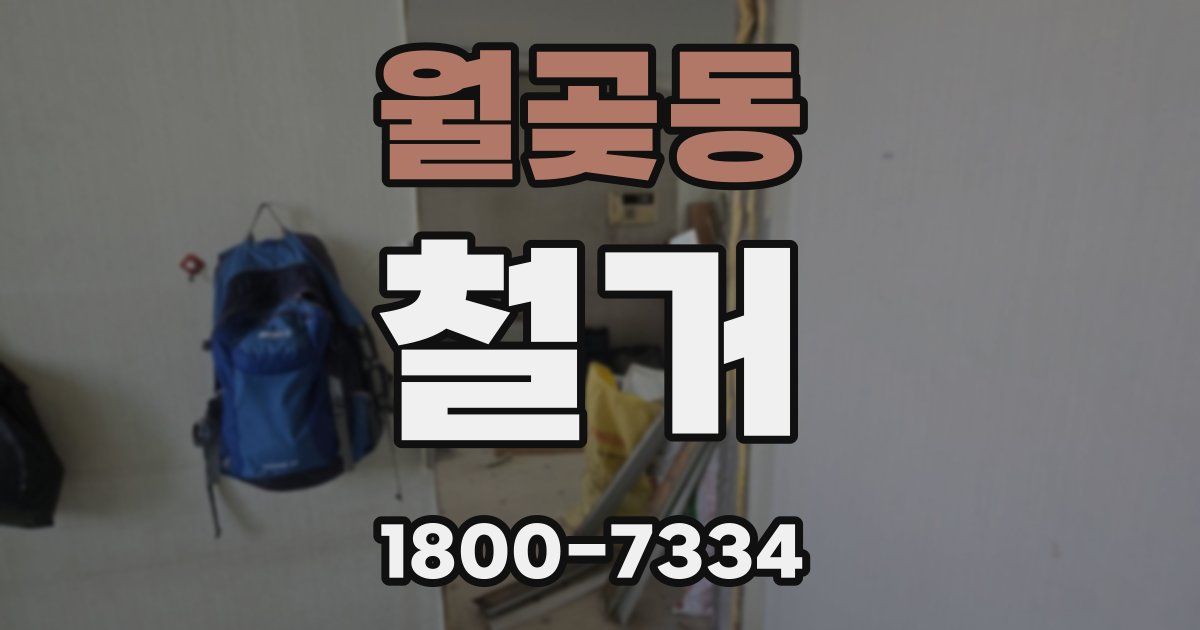 월곶동 철거