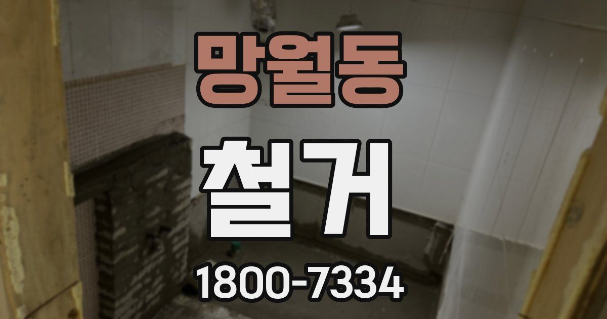 망월동 철거