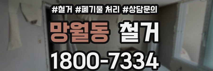 망월동 철거