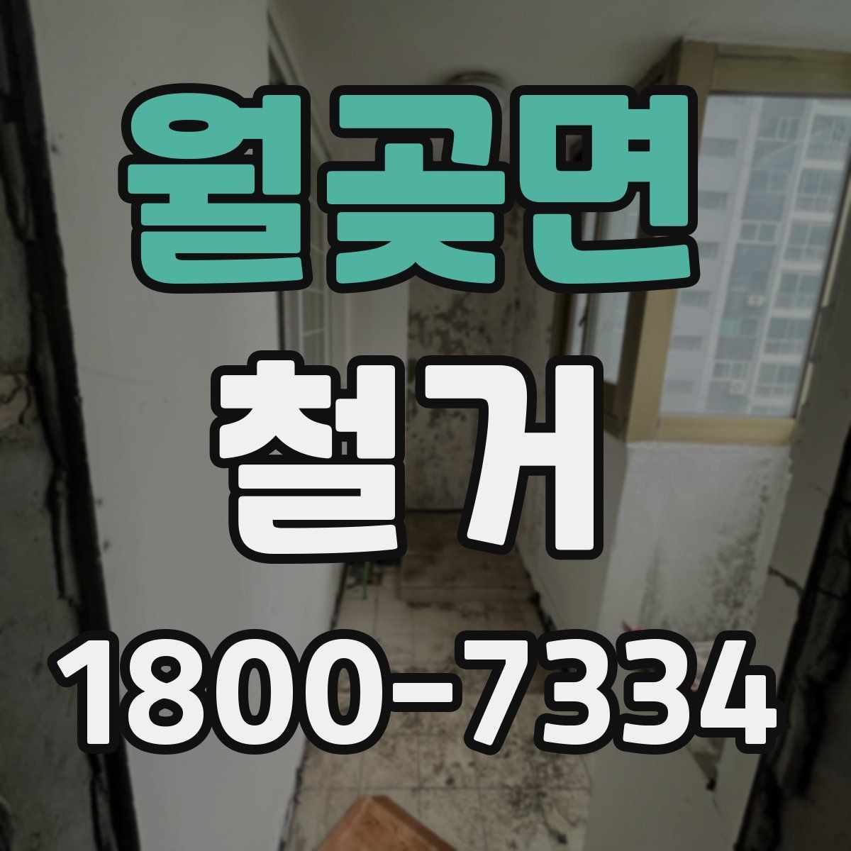 월곶면 철거 일정 조정이 필요한 상황들