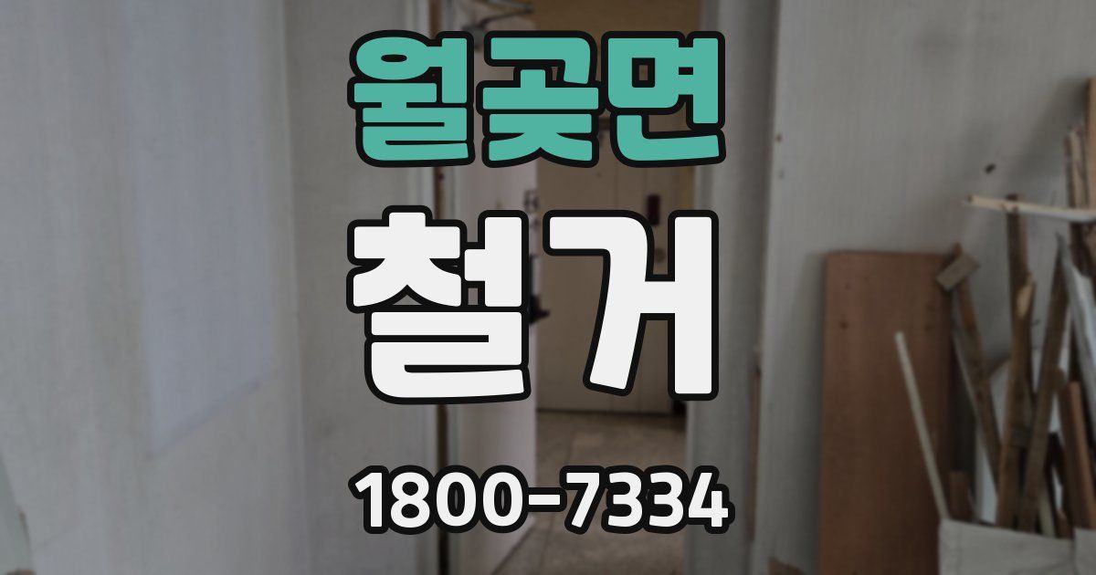 월곶면 철거