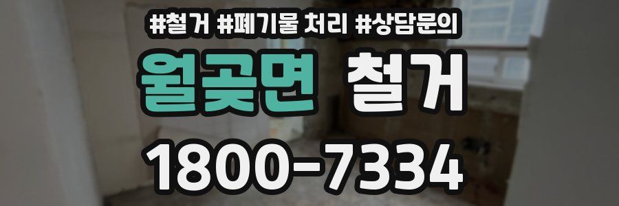 월곶면 철거