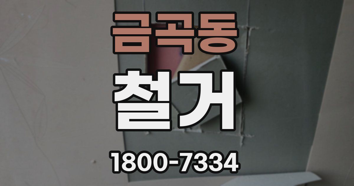 금곡동 철거