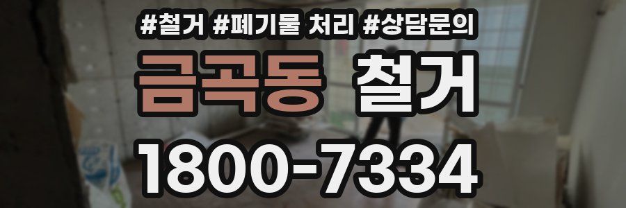 금곡동 철거