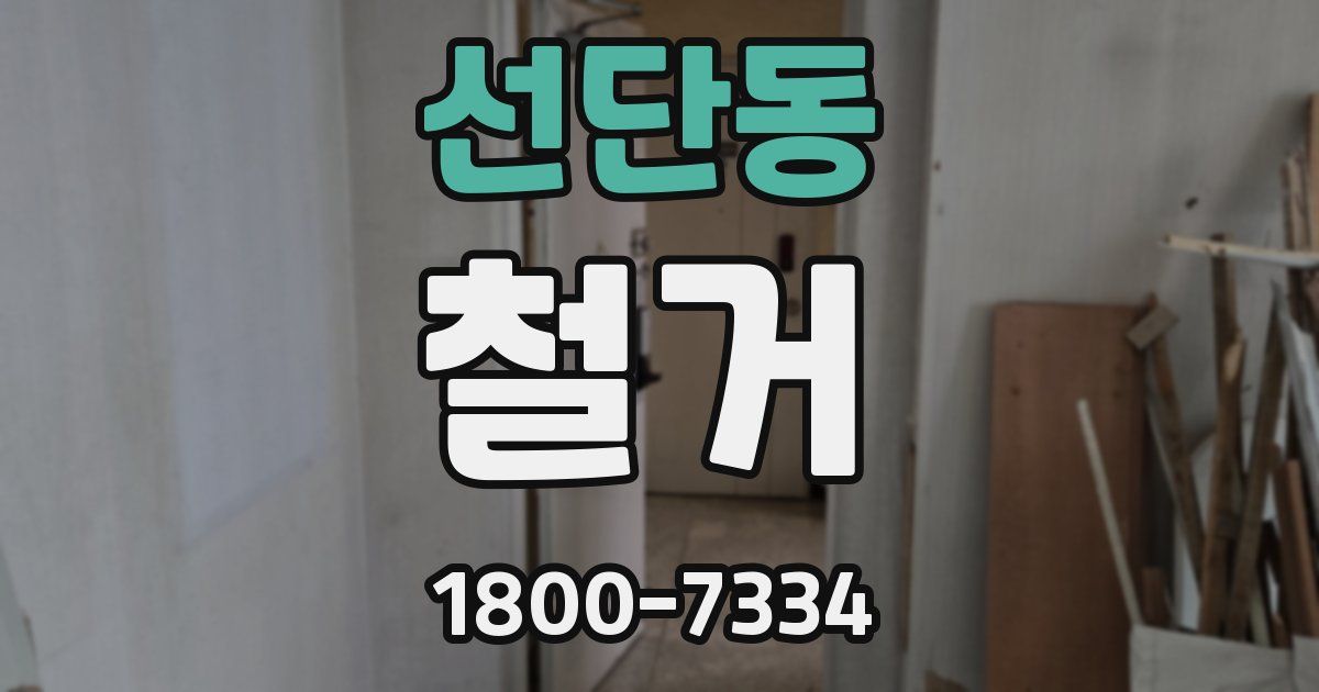 선단동 철거