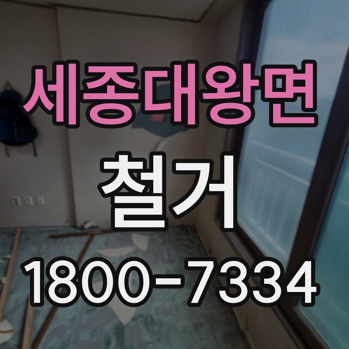 세종대왕면 철거