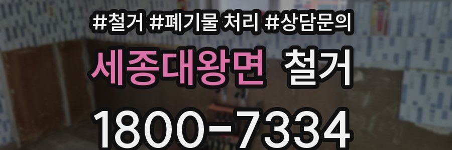 세종대왕면 철거