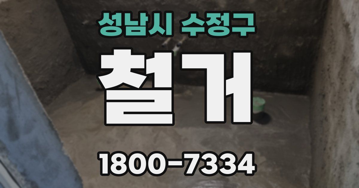 성남시 수정구 철거
