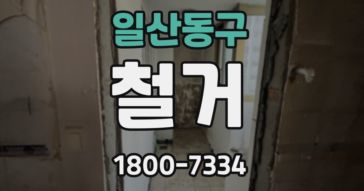 일산동구 철거