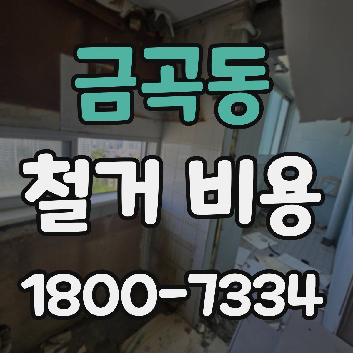 금곡동 철거 비용