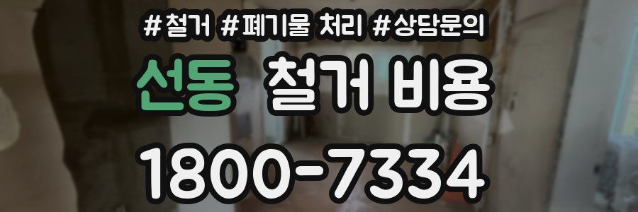 선동 철거 비용