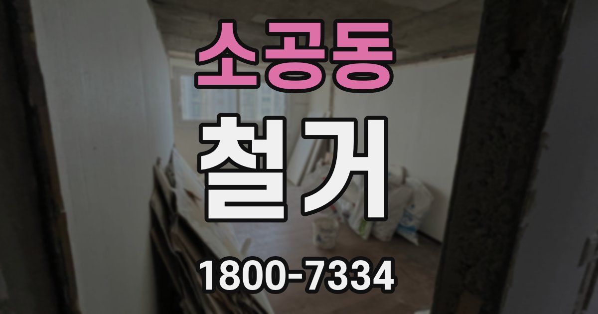 소공동 철거