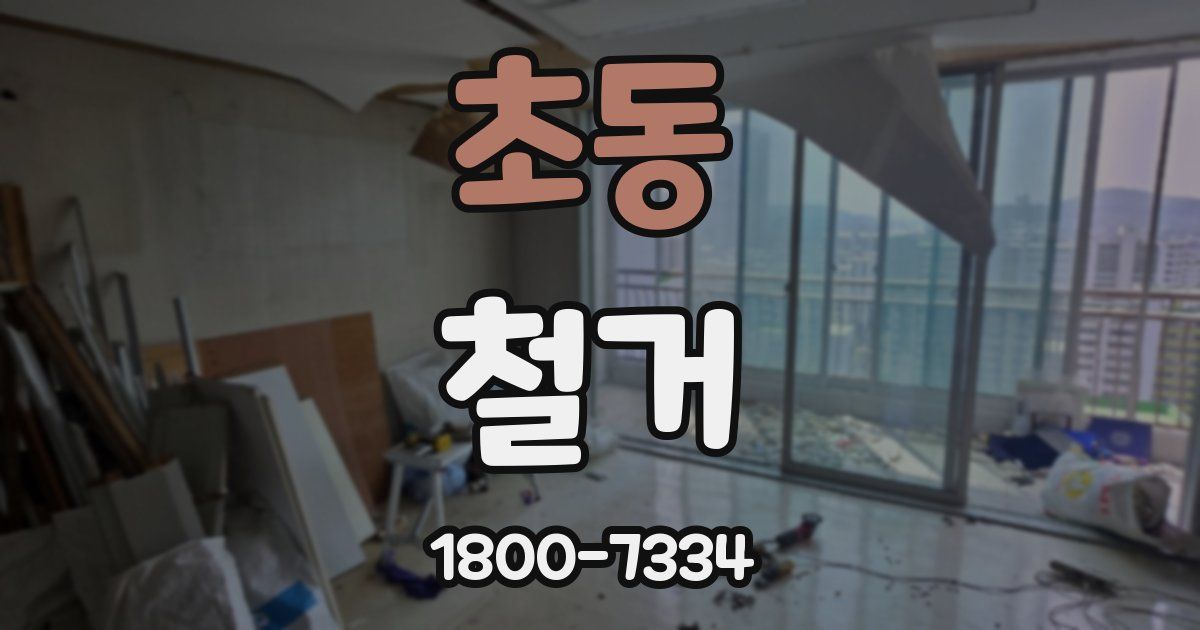 초동 철거