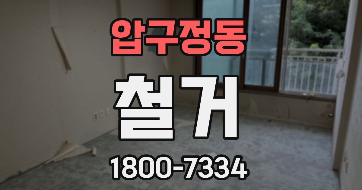압구정동 철거