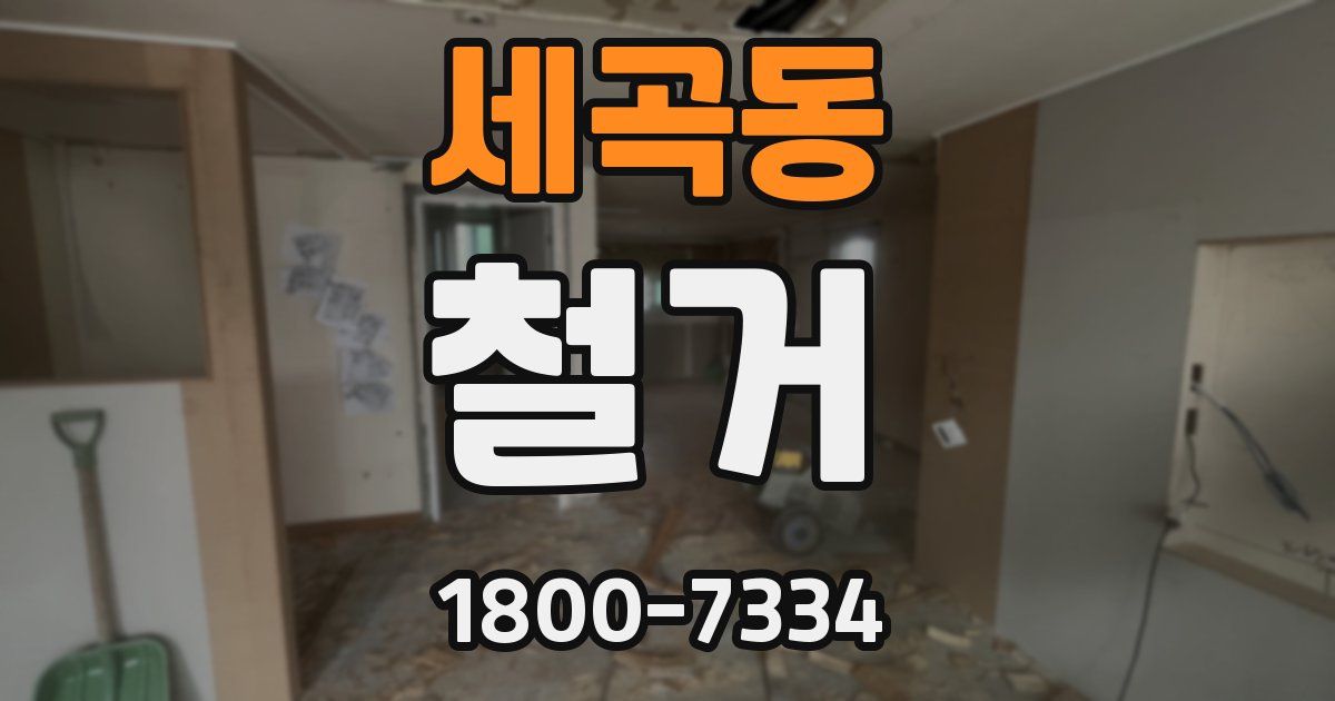 세곡동 철거