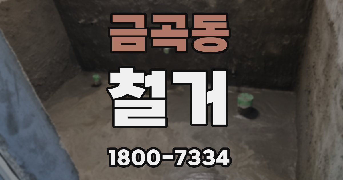 금곡동 철거