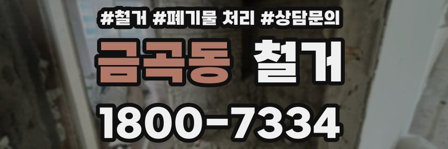 금곡동 철거