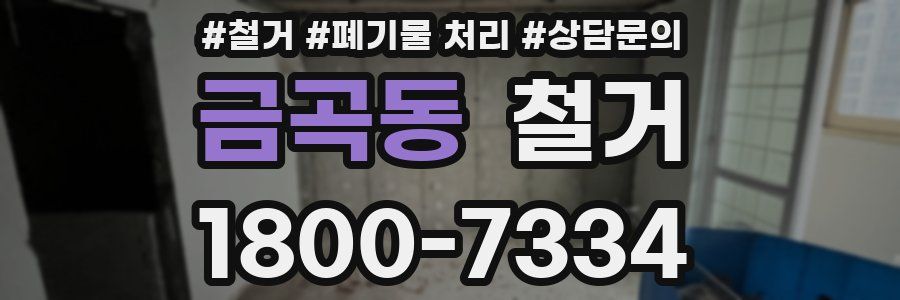 금곡동 철거