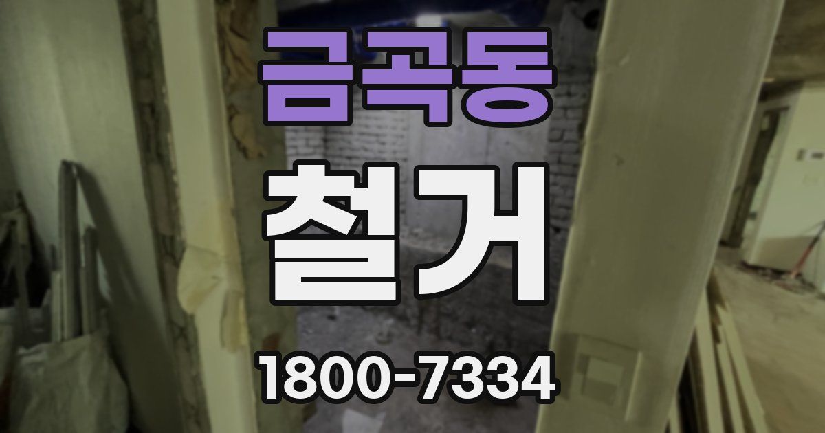 금곡동 철거