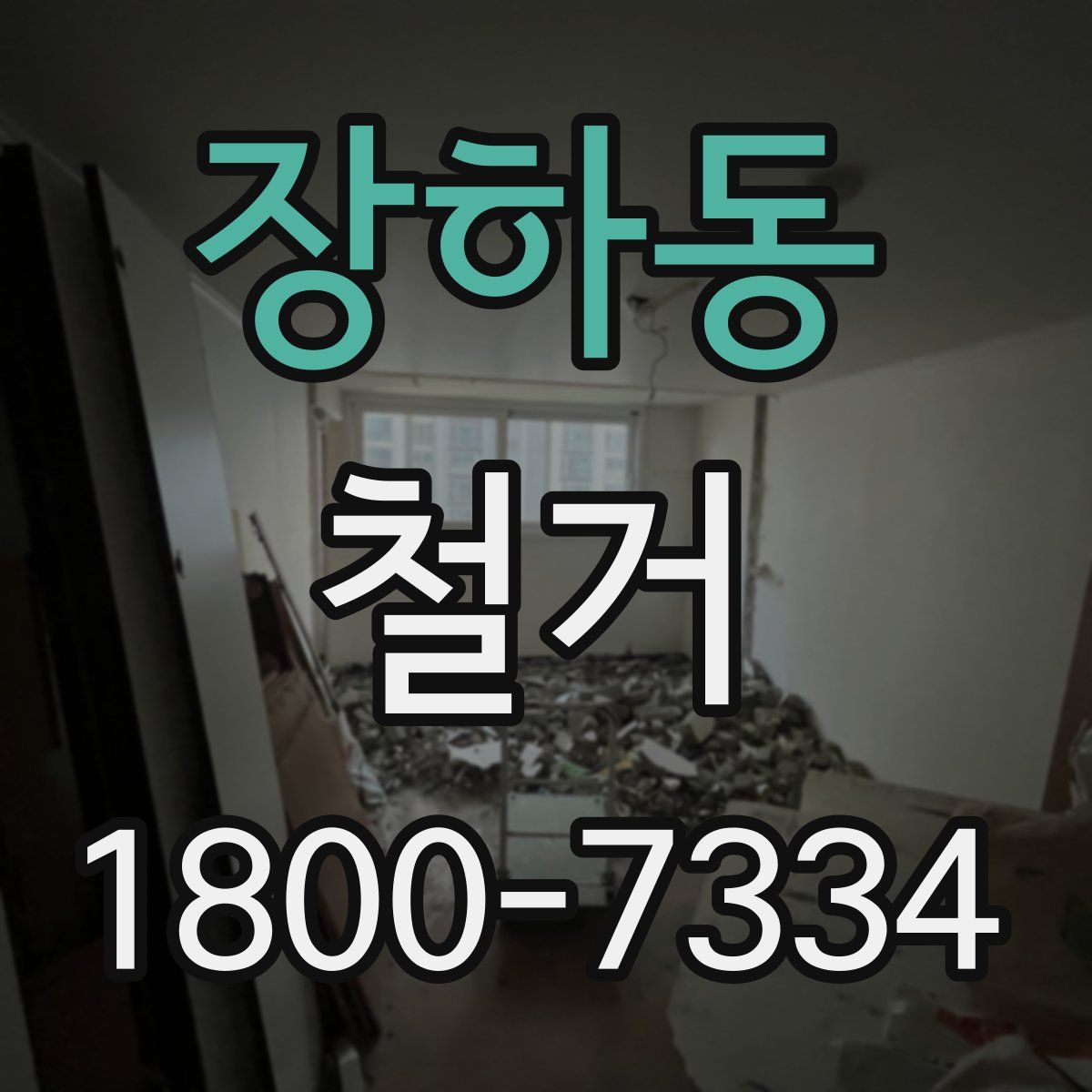 장하동 철거