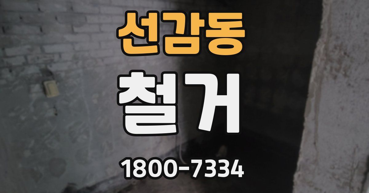 선감동 철거
